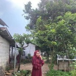 Tia Aini profile icon