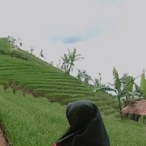 Erli Fitriyani profile icon