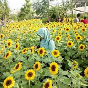 Karina Sinthiya profile icon