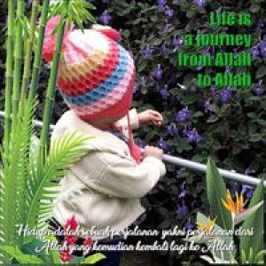 Abadiah Fil-jannah profile icon