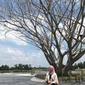 Lidya Widaningrum profile icon