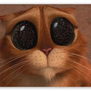 nour ayda profile icon