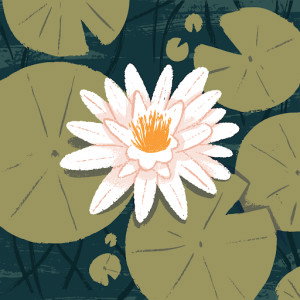 siti solehah profile icon