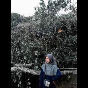 Nur Aini profile icon