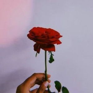 shofia Fafi08 profile icon