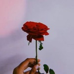 shofia Fafi08 profile icon