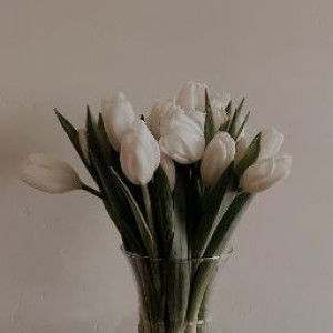 Desti Rizky profile icon