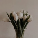 Desti Rizky profile icon