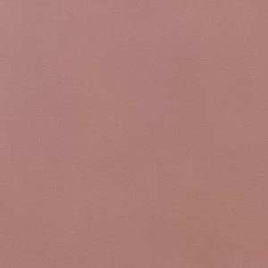 oktavia profile icon