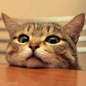 Tiya Marifatul Khusna profile icon