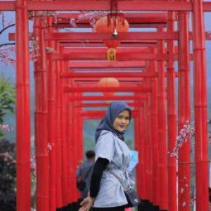 naerlina 2809 profile icon