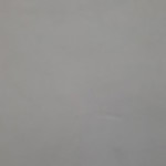 selma G profile icon