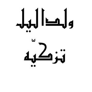 wilda laili tazkiyyah profile icon