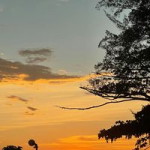 Siti Farah Ibrahim profile icon