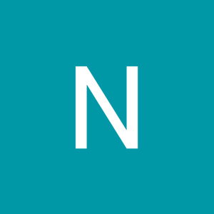 Nur FadlilatulChoiriyah profile icon