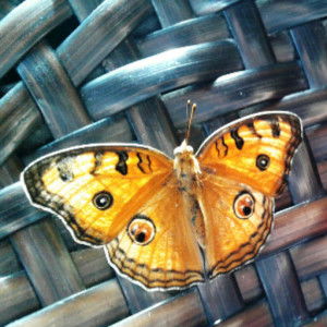 นันท์นภัส profile icon