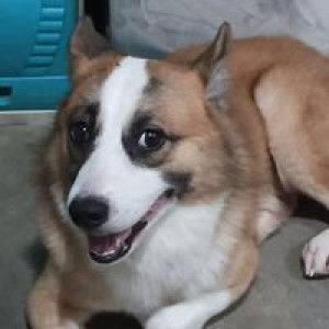 Ivy Lagare profile icon