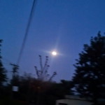 isha bedi profile icon