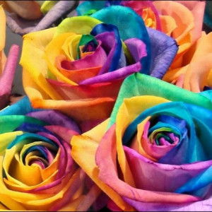 Uswatun Hasanah profile icon