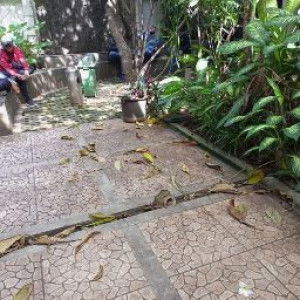 retno sarii profile icon