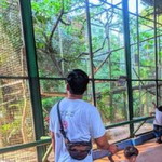 Hadis Yudistira profile icon