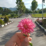 putri wulandari profile icon