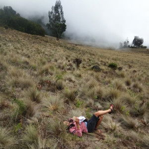 Niken Herawati profile icon