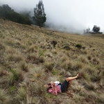 Niken Herawati profile icon