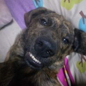 ปุย' นุ่น. profile icon