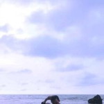 Diyya Hamdiyya profile icon