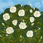 Andrea Alis Ponteres profile icon