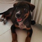 Phusanisa Sukying profile icon