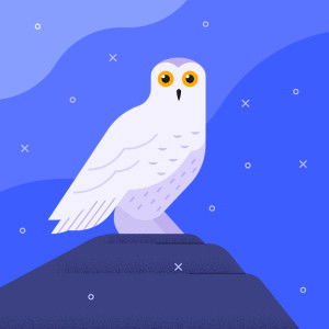 Johanna Nakan profile icon