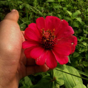 vivi eka indriani profile icon