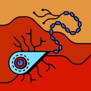 Precy Moral profile icon