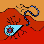 Precy Moral profile icon