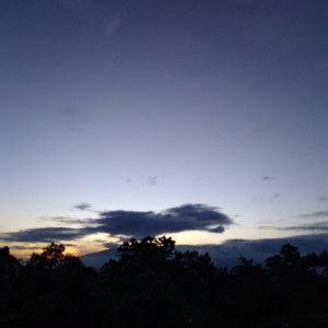 Bunda Arutala profile icon