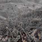 Su Gar Su Gar profile icon