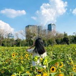 Som'o Sasithorn profile icon