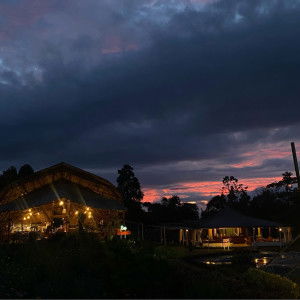 cipta destiara profile icon