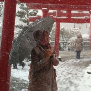 Asri Makro profile icon