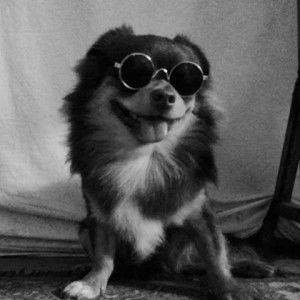 Anna Hazel Legaspi profile icon