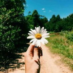 Jihan Ayu profile icon