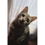 Rini Puspitasari profile icon