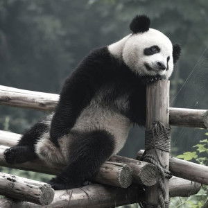 arthadhita m profile icon