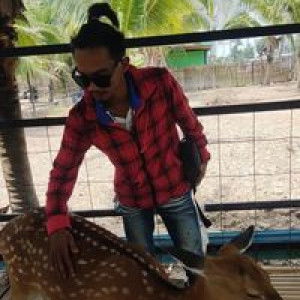 บ่าวว.วี. ป๊อกแป๊ก profile icon