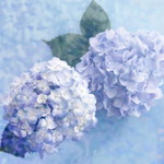 Saranya d. profile icon