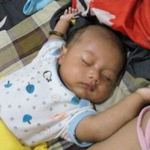 Ammar Ahmad Amelia profile icon