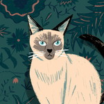 Ku Intan shahira profile icon