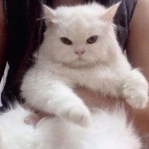 สุกานดา สมานทอง profile icon